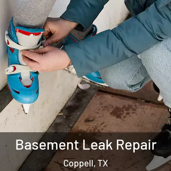  Basement Leak Repair Coppell, TX