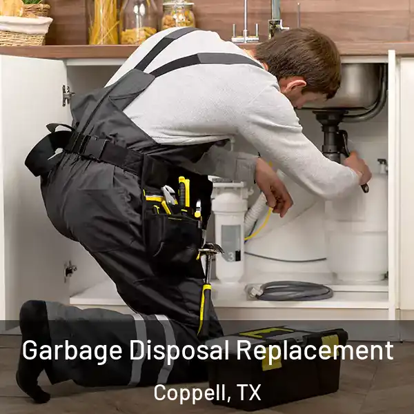  Garbage Disposal Replacement Coppell, TX