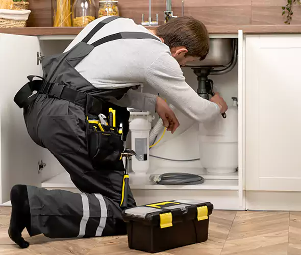 Certified Plumbers for Insinkerator Installation in Coppell