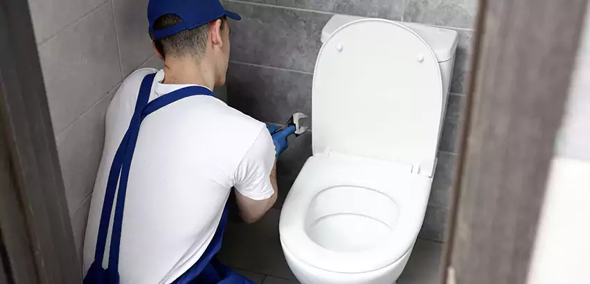 Toilet Lid Replacement in Coppell