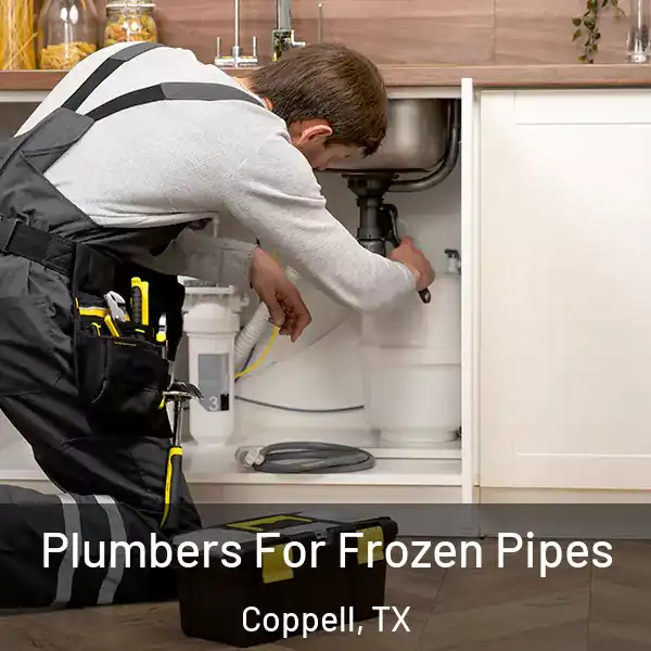  Plumbers For Frozen Pipes Coppell, TX