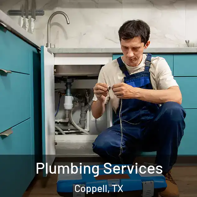  Plumbing Services Coppell, TX