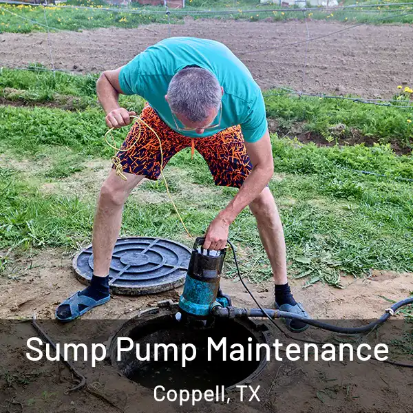  Sump Pump Maintenance Coppell, TX