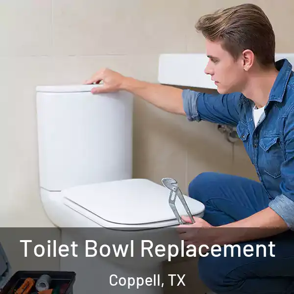  Toilet Bowl Replacement Coppell, TX