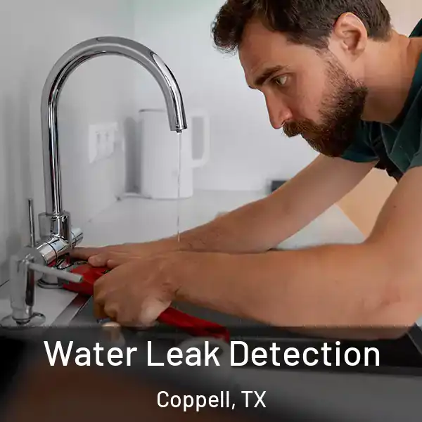  Water Leak Detection Coppell, TX